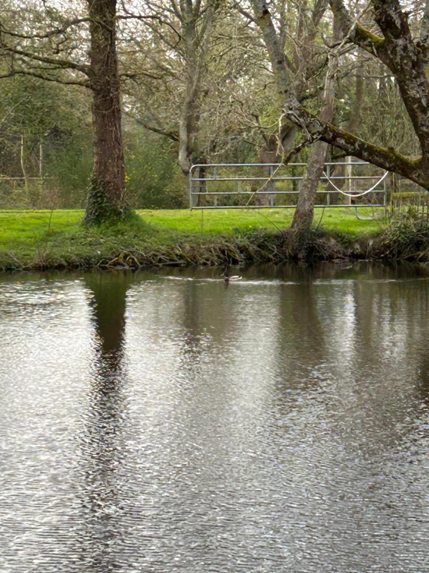 La Maison De L'Etang Manerbe Luaran gambar