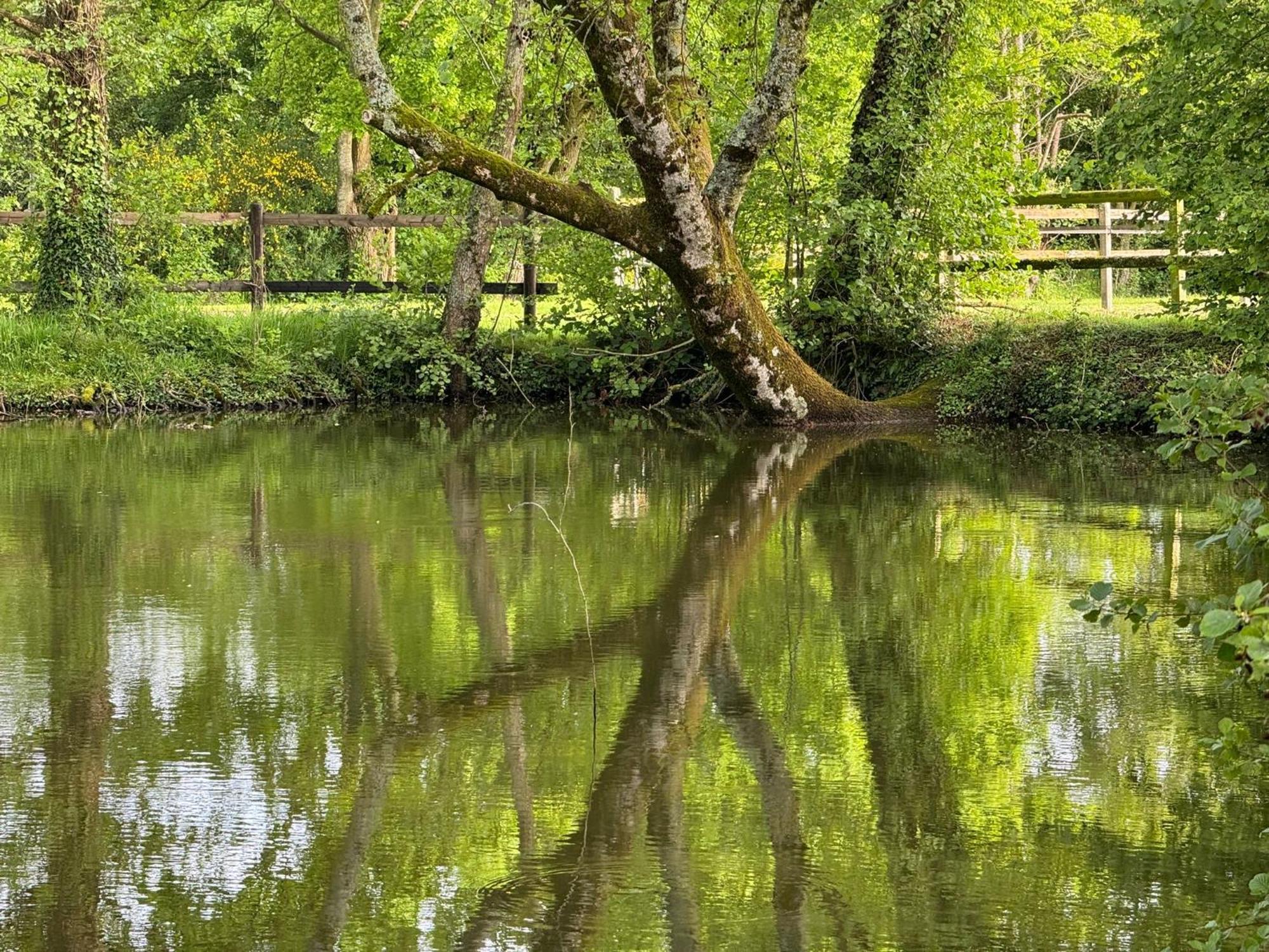 La Maison De L'Etang Manerbe Luaran gambar