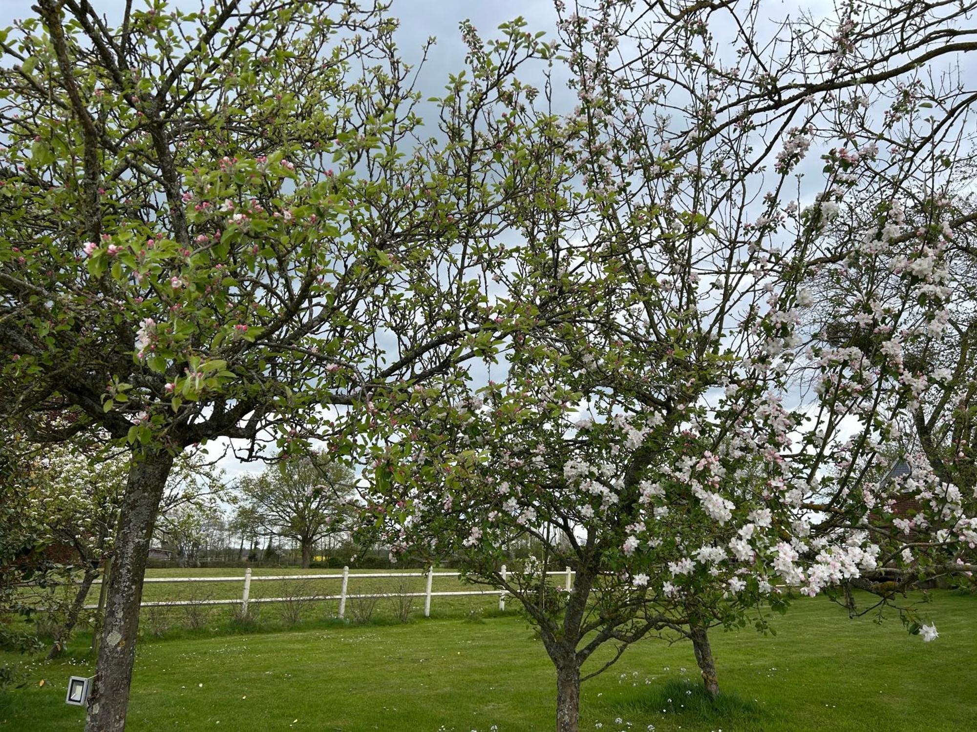 La Maison De L'Etang Manerbe Luaran gambar